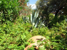 Turkey Property Listings Turkey Real Estate 2 Bedroom Villa in Kaş Peninsula
